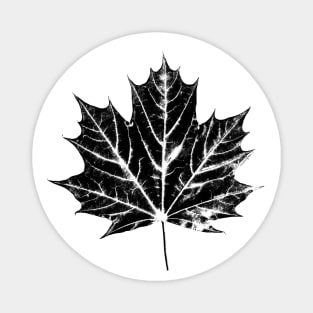 Maple Leaf Print Magnet